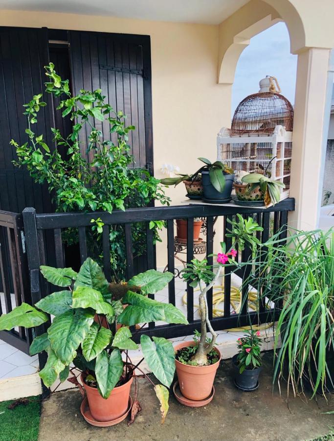 Chambre D'Hotes Mai Tai 4 Personnes Bas Du Fort Le Gosier  Εξωτερικό φωτογραφία